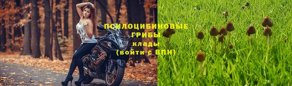 2c-b Вязники